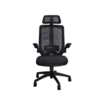 BASIC Director Chair UDL A01 front angle view