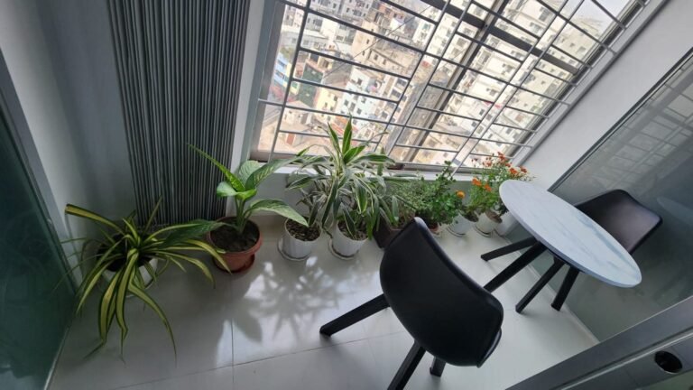 FB_IMG_1765349147536