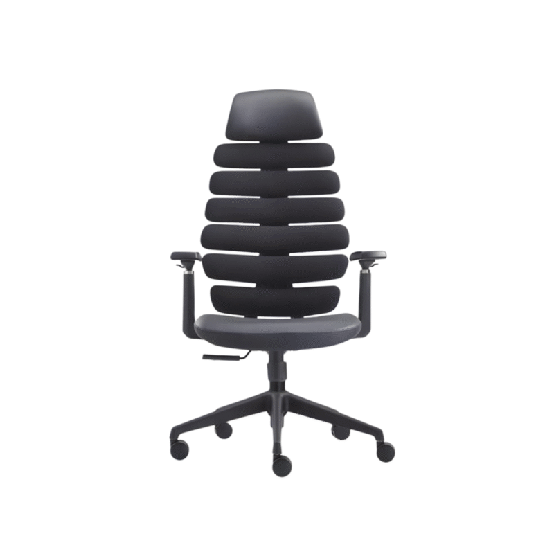 SUPERIOR Director Chair UDL A676 with segmented spine ergonomic backrest in black.