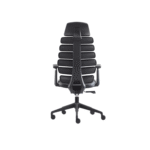 Superior-Director-Chair-UDL-A676-Spine-Design-Black