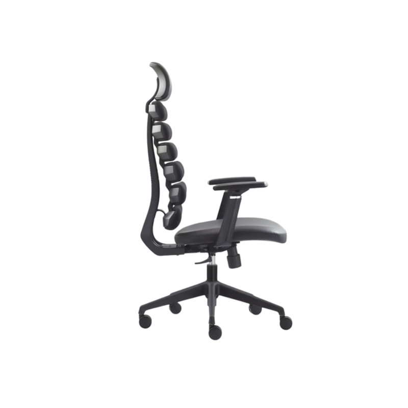 Superior-Director-Chair-UDL-A676-Spine-Design-Black