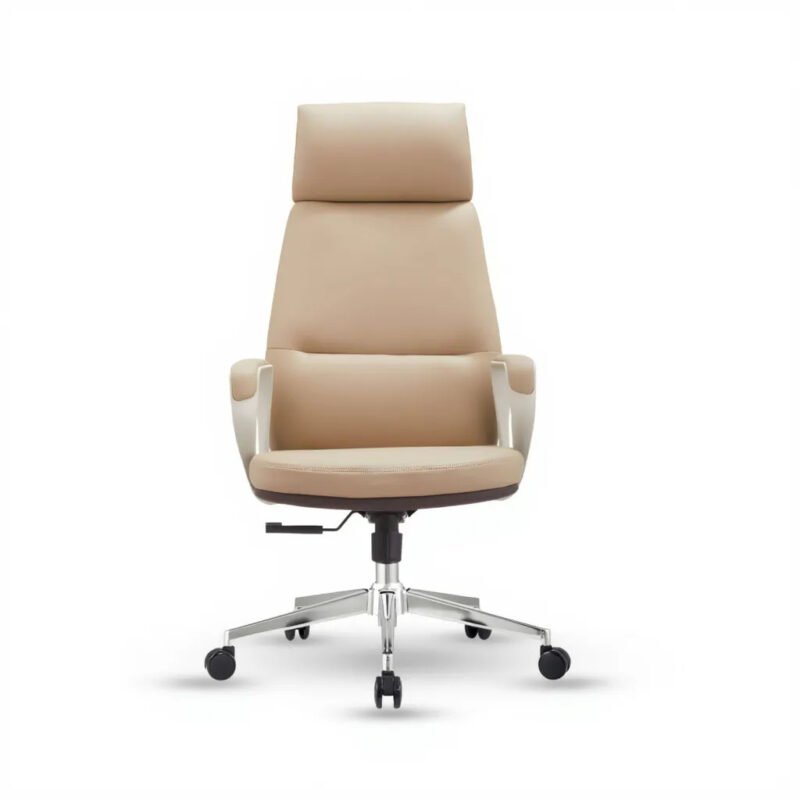 Posture Director Chair UDL 6833A front view with lumbar support.
