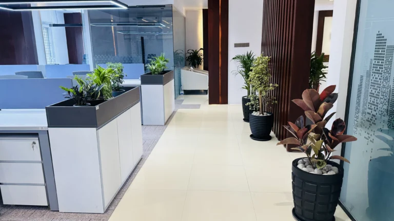 Office Walkway