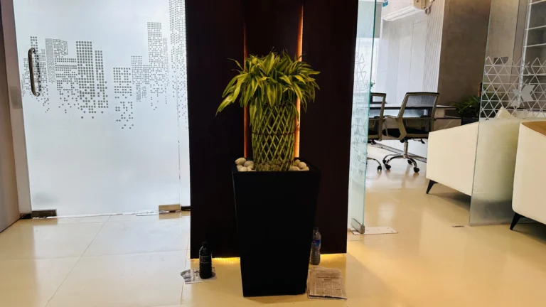 Office Lounge Area