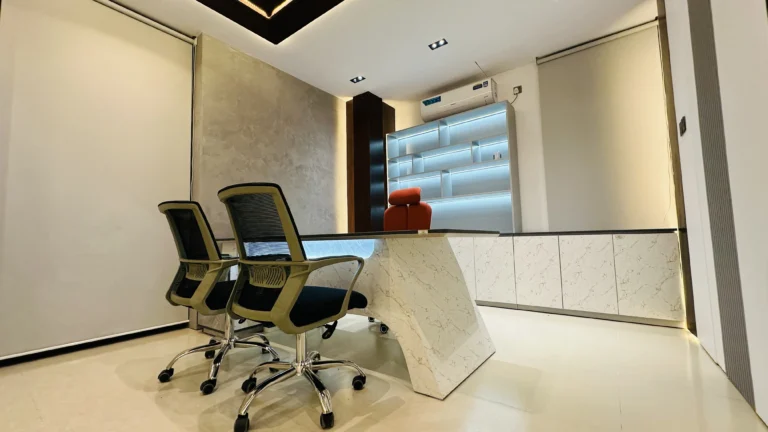 Executive Workstation Area