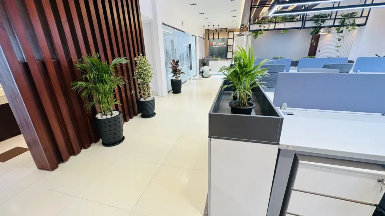 Open Workstation Area