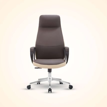 Straight-on front view of a comfortable brown executive office chair with mesh back and padded seat.